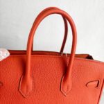 Hermes Birkin 25CM Cuirve Togo Leather with Gold-Plated Hardware #RSRY-1 - Image 19