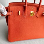 Hermes Birkin 25CM Cuirve Togo Leather with Gold-Plated Hardware #RSRY-1 - Image 3