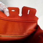 Hermes Birkin 25CM Cuirve Togo Leather with Gold-Plated Hardware #RSRY-1 - Image 34