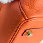 Hermes Birkin 25CM Cuirve Togo Leather with Gold-Plated Hardware #RSRY-1 - Image 16