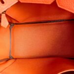 Hermes Birkin 25CM Cuirve Togo Leather with Gold-Plated Hardware #RSRY-1 - Image 41