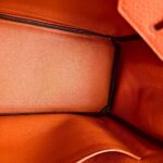 Hermes Birkin 25CM Cuirve Togo Leather with Gold-Plated Hardware #RSRY-1 - Image 42