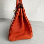 Hermes Birkin 25CM Cuirve Togo Leather with Gold-Plated Hardware #RSRY-1 - Image 10