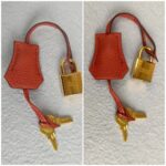 Hermes Birkin 25CM Cuirve Togo Leather with Gold-Plated Hardware #RSRY-1 - Image 27