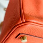 Hermes Birkin 25CM Cuirve Togo Leather with Gold-Plated Hardware #RSRY-1 - Image 15