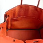 Hermes Birkin 25CM Cuirve Togo Leather with Gold-Plated Hardware #RSRY-1 - Image 36