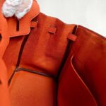 Hermes Birkin 25CM Cuirve Togo Leather with Gold-Plated Hardware #RSRY-1 - Image 30