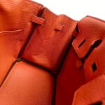 Hermes Birkin 25CM Cuirve Togo Leather with Gold-Plated Hardware #RSRY-1 - Image 29