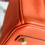 Hermes Birkin 25CM Cuirve Togo Leather with Gold-Plated Hardware #RSRY-1 - Image 14