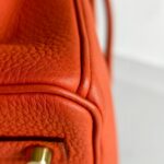Hermes Birkin 25CM Cuirve Togo Leather with Gold-Plated Hardware #RSRY-1 - Image 13