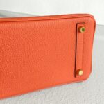 Hermes Birkin 25CM Cuirve Togo Leather with Gold-Plated Hardware #RSRY-1 - Image 12