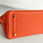 Hermes Birkin 25CM Cuirve Togo Leather with Gold-Plated Hardware #RSRY-1 - Image 11