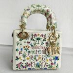 Christian Dior Lady Dior Mini Limited Edition White Leather with Gold Hardware #RTLC-4 - Image 2