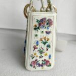 Christian Dior Lady Dior Mini Limited Edition White Leather with Gold Hardware #RTLC-4 - Image 10