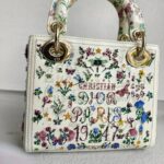 Christian Dior Lady Dior Mini Limited Edition White Leather with Gold Hardware #RTLC-4 - Image 8