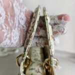 Christian Dior Lady Dior Mini Limited Edition White Leather with Gold Hardware #RTLC-4 - Image 23