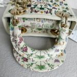 Christian Dior Lady Dior Mini Limited Edition White Leather with Gold Hardware #RTLC-4 - Image 18