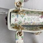 Christian Dior Lady Dior Mini Limited Edition White Leather with Gold Hardware #RTLC-4 - Image 24