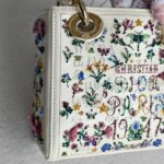 Christian Dior Lady Dior Mini Limited Edition White Leather with Gold Hardware #RTLC-4 - Image 4