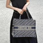 Christian Dior Book Tote Large Blue Canvas with Leather and Gold Hardware #ROUS-3 - Image 37