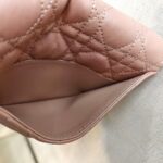 Christian Dior Caro Pouch with Chain Beige Lambskin with Gold Hardware #ROUU-1 - Image 21