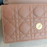 Christian Dior Caro Pouch with Chain Beige Lambskin with Gold Hardware #ROUU-1 - Image 15