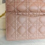 Christian Dior Caro Pouch with Chain Beige Lambskin with Gold Hardware #ROUU-1 - Image 5