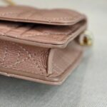 Christian Dior Caro Pouch with Chain Beige Lambskin with Gold Hardware #ROUU-1 - Image 12