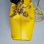 Fendi Mon Tresor Small Bucket Bag Yellow Calf Leather and Silver Hardware #RTYR-2 - Image 5