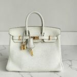 Hermes Birkin 25cm Mushroom Togo Leather with Gold Plated Hardware #ROEK-1