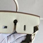 Hermes Birkin 25cm Mushroom Togo Leather with Gold Plated Hardware #ROEK-1 - Image 21