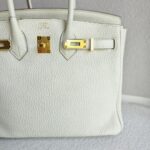 Hermes Birkin 25cm Mushroom Togo Leather with Gold Plated Hardware #ROEK-1 - Image 4