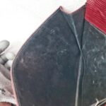 LV Lena Clutch Red Epi Leather with Gold Hardware #ROER-10 - Image 24