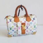LV Vintage Speedy Multicolor Monogram Coated Canvas with Leather and Gold Hardware #RSRR-1