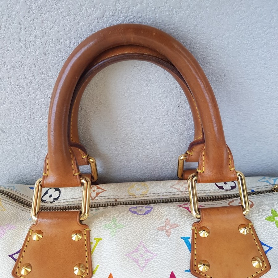 LV Vintage Speedy Multicolor Monogram Coated Canvas with Leather and Gold Hardware #RSRR-1 - Image 20