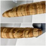 Prada BP0237 Clutch Brown Nylon with Gold Hardware #ROER-8 - Image 9