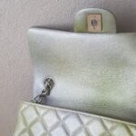 Chanel Mini Flap Gradient Color Goatskin with Silver Hardware #ROST-1 - Image 18