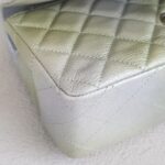 Chanel Mini Flap Gradient Color Goatskin with Silver Hardware #ROST-1 - Image 13