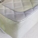 Chanel Mini Flap Gradient Color Goatskin with Silver Hardware #ROST-1 - Image 15