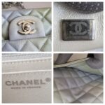 Chanel Mini Flap Gradient Color Goatskin with Silver Hardware #ROST-1 - Image 24