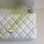 Chanel Mini Flap Gradient Color Goatskin with Silver Hardware #ROST-1 - Image 21