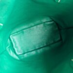Goyard Anjou Mini Green Goyardine Canvas/Calfskin with Silver Hardware #ROLE-1 - Image 26