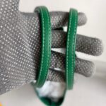 Goyard Anjou Mini Green Goyardine Canvas/Calfskin with Silver Hardware #ROLE-1 - Image 18