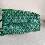 Goyard Anjou Mini Green Goyardine Canvas/Calfskin with Silver Hardware #ROLE-1 - Image 8