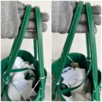 Goyard Anjou Mini Green Goyardine Canvas/Calfskin with Silver Hardware #ROLE-1 - Image 19