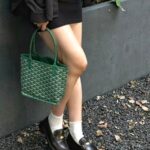 Goyard Anjou Mini Green Goyardine Canvas/Calfskin with Silver Hardware #ROLE-1 - Image 27
