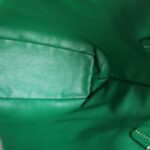 Goyard Anjou Mini Green Goyardine Canvas/Calfskin with Silver Hardware #ROLE-1 - Image 16