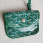 Goyard Anjou Mini Green Goyardine Canvas/Calfskin with Silver Hardware #ROLE-1 - Image 17