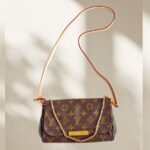 LV Favorite PM Brown Monogram Coated Canvas with Leather and Gold Hardware #ROTT-2