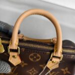 LV Nano Speedy M61252 Brown Monogram Coated Canvas with Leather and Gold Hardware #ROTT-1 - Image 14